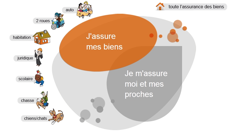 assurances CCAS biens